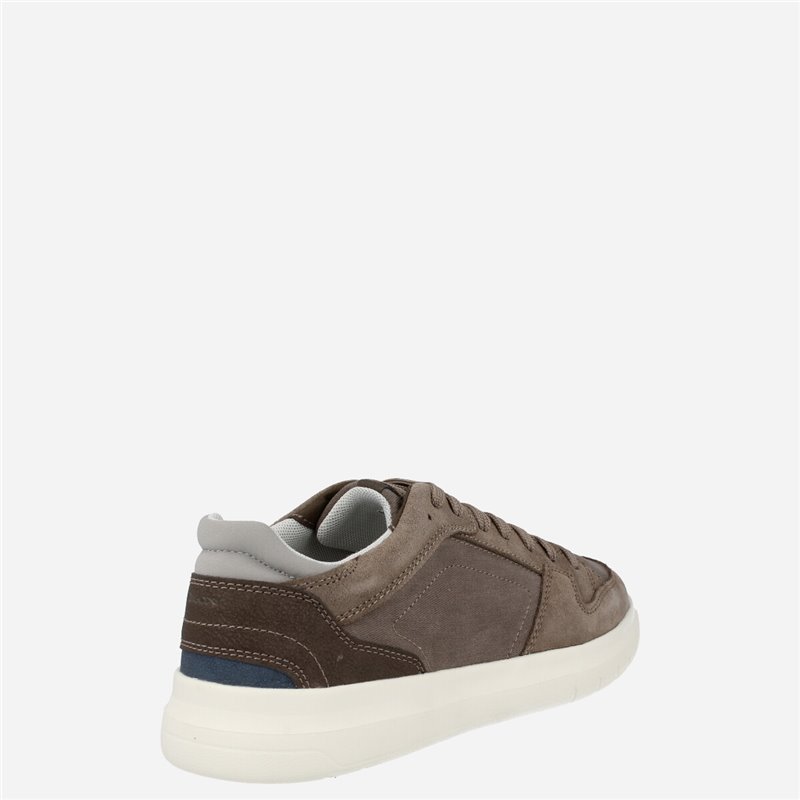 Sneaker Merediano Taupe 