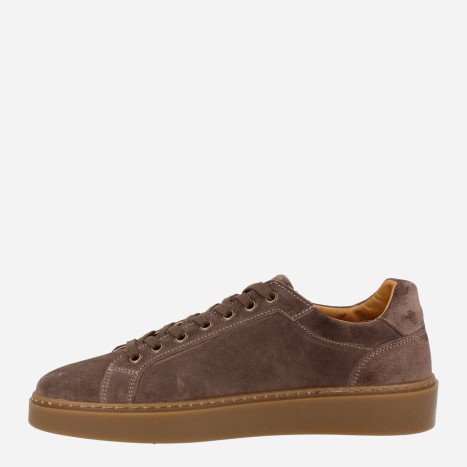 Sneaker Civetta Taupe 