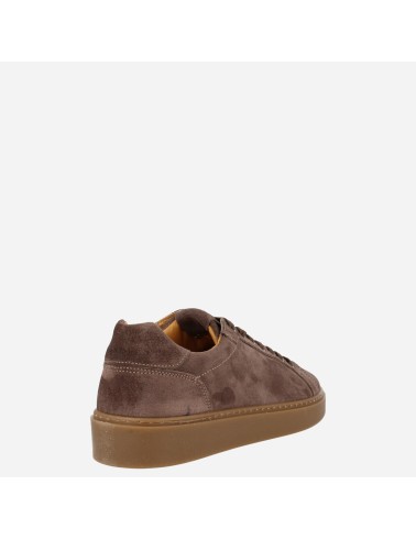 Sneaker Civetta Taupe 