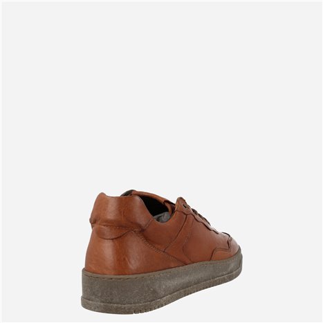 Sneaker Giove  Taupe 