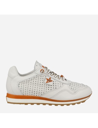 Sneaker Hatti Blanco