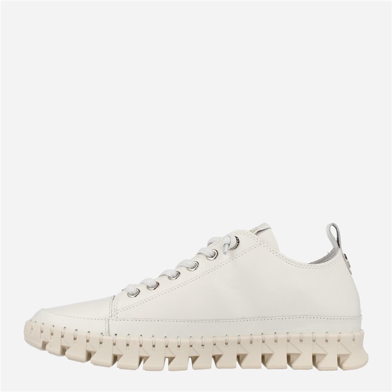 Sneaker Basil Blanco Sneaker Basil Blanco