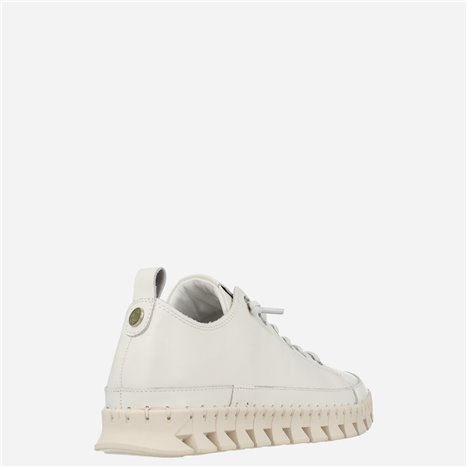 Sneaker Basil Blanco Sneaker Basil Blanco