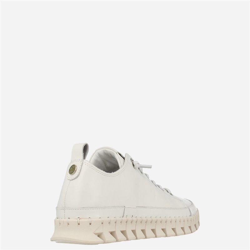 Sneaker Basil Blanco Sneaker Basil Blanco