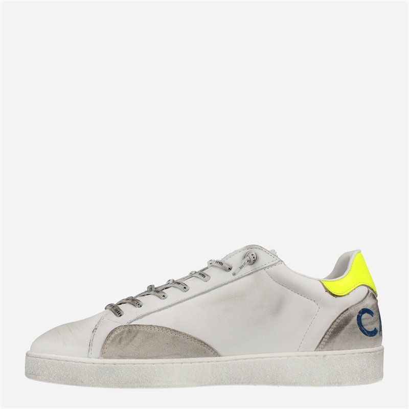 Sneaker Dreams Blanco Sneaker Dreams Blanco
